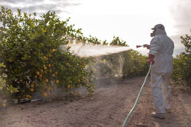 Best Insect Control  in Notre Dame, IN